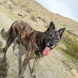 Meet your Posher, Gabrielle